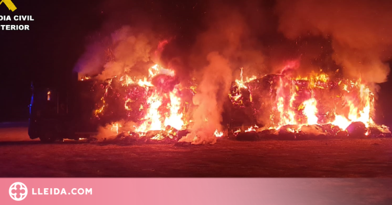 Un incendi calcina un camió a l'A-22