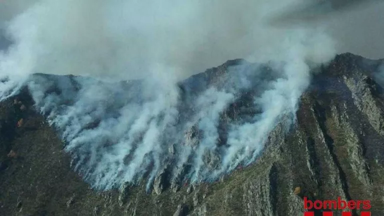 L’incendi de Cerbi afavorirà la presència de cérvols i cabirols