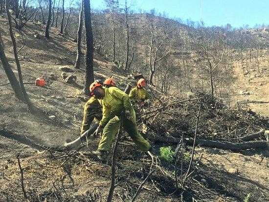 Unió de Pagesos insisteix en la necessitat de millorar les assegurances per l'incendi de la Ribera d'Ebre