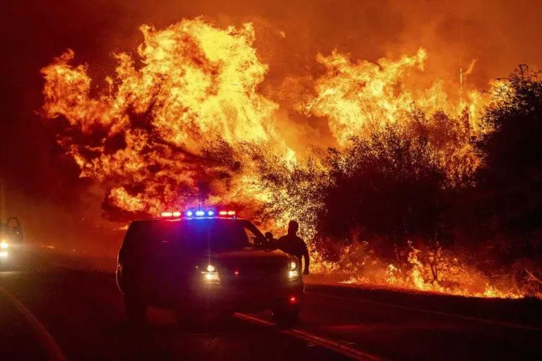 Un estudi internacional liderat per la UdL indica que el canvi global afavoreix els grans incendis forestals