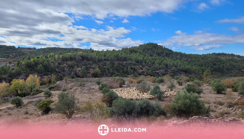 L'Ermita de les Besses, un recorregut a camp obert per a tota la família