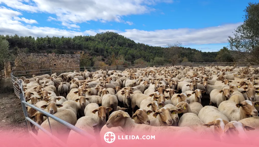 L'Ermita de les Besses, un recorregut a camp obert per a tota la família