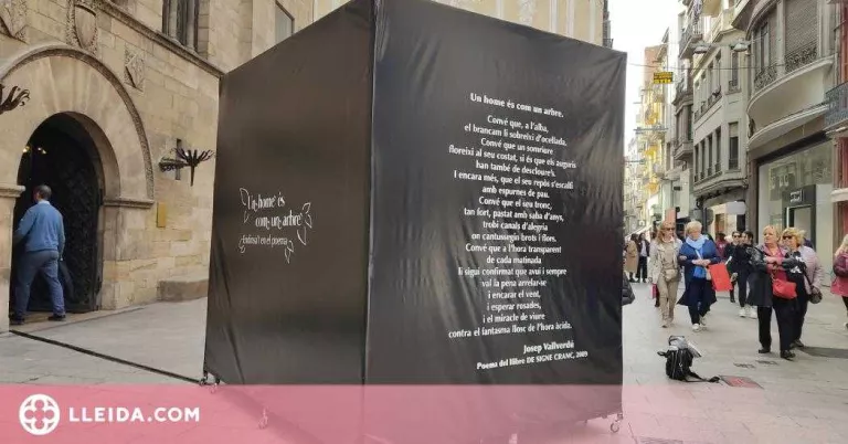 L'Escola Leandre Cristòfol instal·la la seva obra pel Dia Internacional de la Poesia