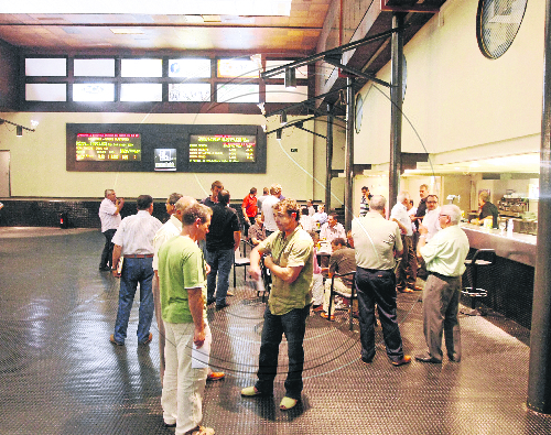 El nou mercat comú del conill fixa una primera cotització amb tendència baixista