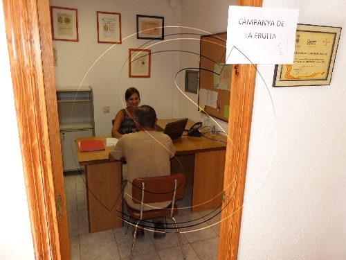 Augmenten les inscripcions per la campanya de la fruita a les Borges
