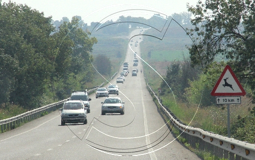 Mor la conductora d'un turisme en un xoc frontal amb un camió a la N-240 a Lleida