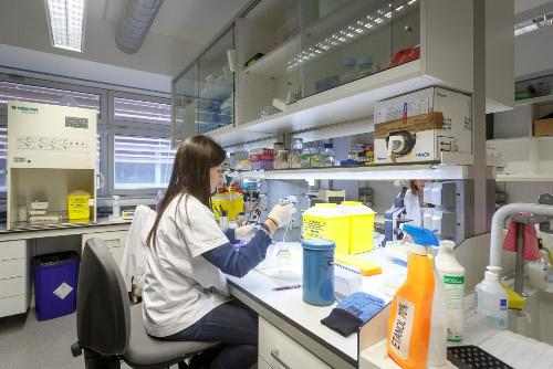 L’IRBLleida organitza #SomRecerca per fer conèixer el paper del pacient en la recerca biomèdica de Lleida
