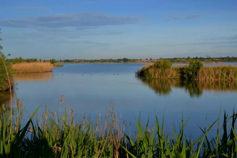 L’Estany d’Ivars i Vila-sana: una invitació a meditar entre ocells