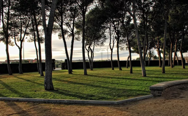 Balaguer homenatjarà les persones mortes durant el confinament