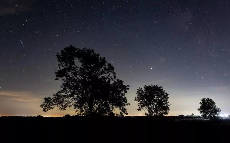 Perseids: deixa't atrapar per la màgia al cel de Ponent