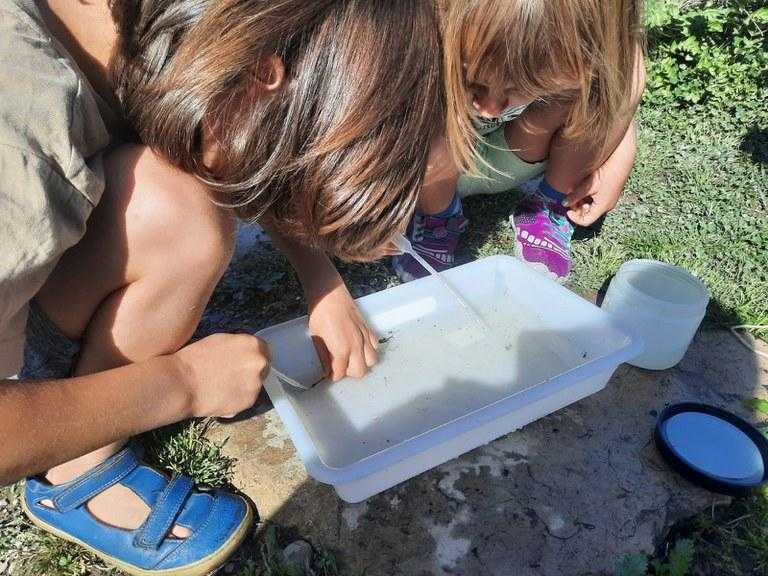 Les Ecoactivitats mostren els insectes aquàtics que habiten el riu Segre al seu pas per Lleida