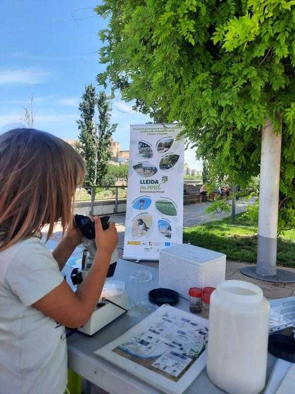 Les Ecoactivitats mostren els insectes aquàtics que habiten el riu Segre al seu pas per Lleida