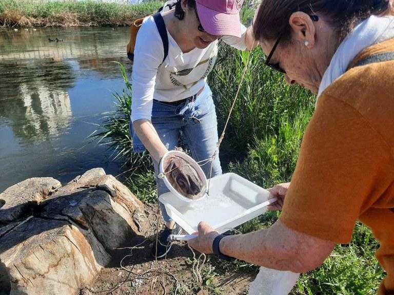 Les Ecoactivitats mostren els insectes aquàtics que habiten el riu Segre al seu pas per Lleida