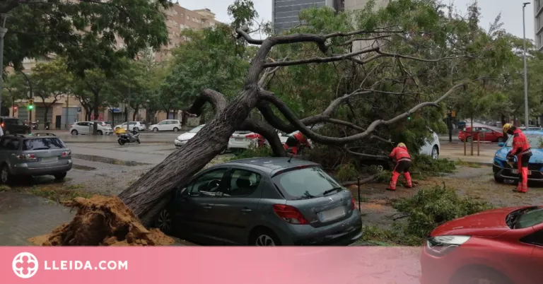 L'episodi de pluja deixa més de 100 litres al Pirineu