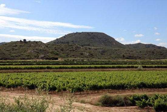 Les Garrigues i la Ribera d'Ebre i l'Anoia escollides per a un projecte pilot internacional de Turisme