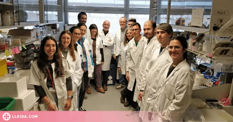 Les dones més longeves tenen menys propensió a patir malalties multisistèmiques que els homes
