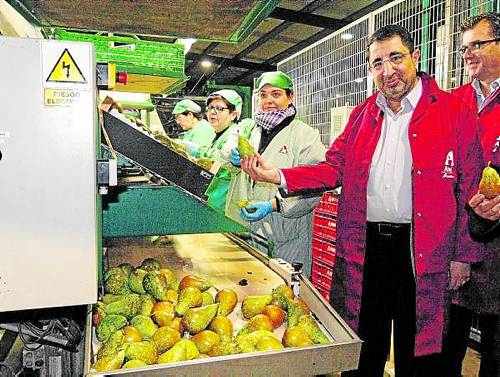 La fruita de Lleida perd 39 milions en exportació en dos mesos de veto