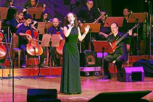 Mamapop solidari amb SEGRE