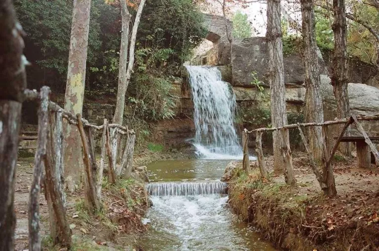 La ruta Mare de la Font-Castellvell: un passeig ple de vida