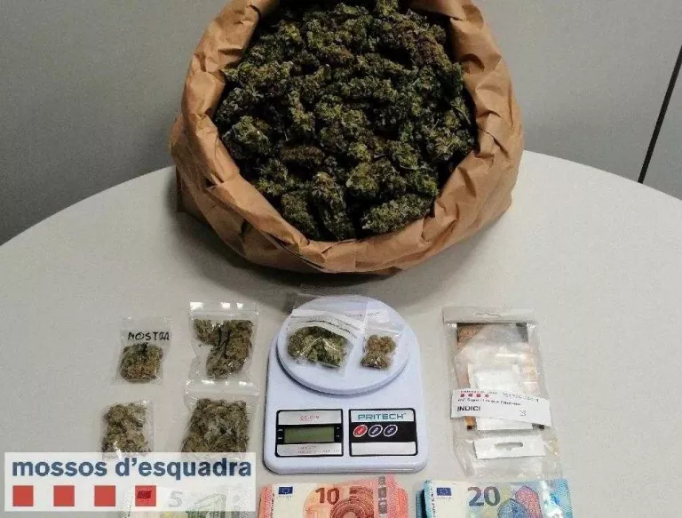 Detinguts un home i un menor d'edat per vendre marihuana a Lleida