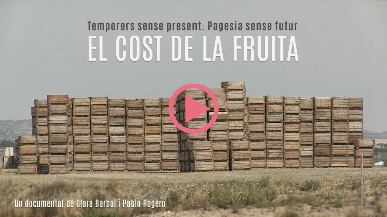 ⏯️ 'El cost de la fruita', la lluita per sobreviure dels temporers immigrants i dels petits pagesos de Ponent