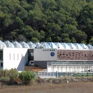 La memòria de les plantes ajuda a millorar els models de cicle hidrològic, segons una recerca de la UdL