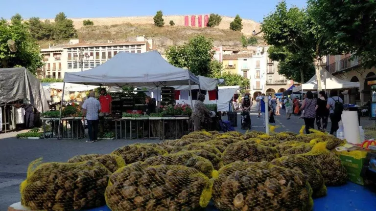 Balaguer aprova la nova ordenança de mercats de venda no sedentària