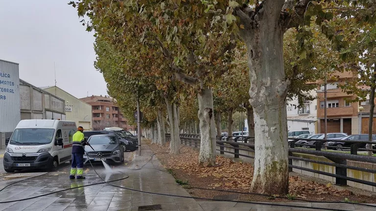 Neteja d'urgència a Mollerussa per la brutícia provocada per la plaga d'estornells