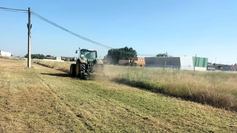 L'Ajuntament de Mollerussa neteja una vuitantena de solars per prevenir incendis