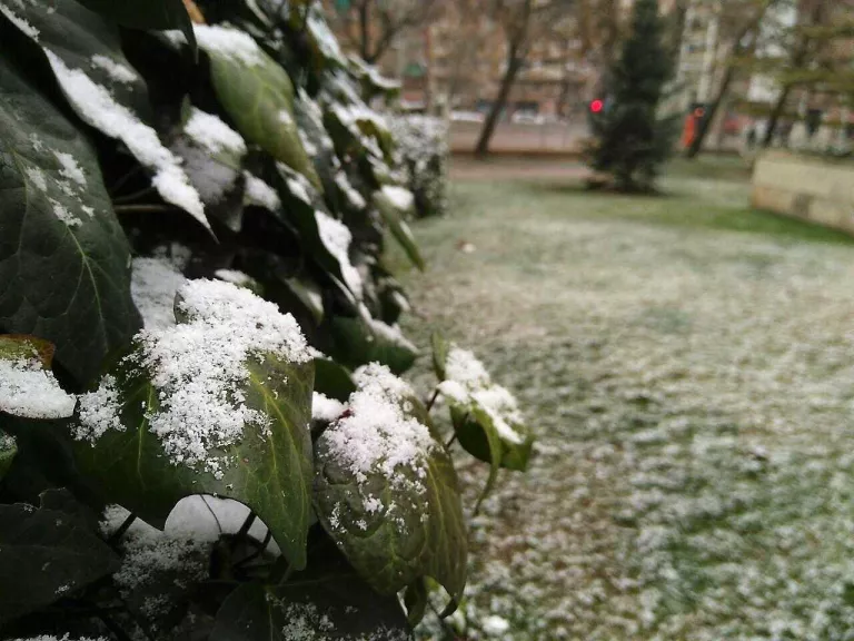 Tot el territori en alerta per la nevada que es preveu excepcional