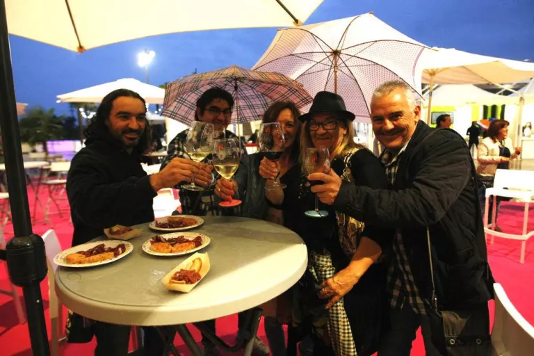 Nit de vi i tapes a Lleida