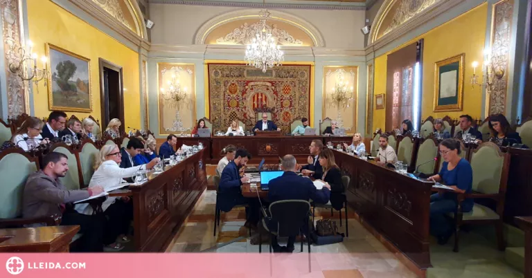 Més places de centres de dia subvencionades o la creació d'un protocol per a la violència sexual, debatit al Ple