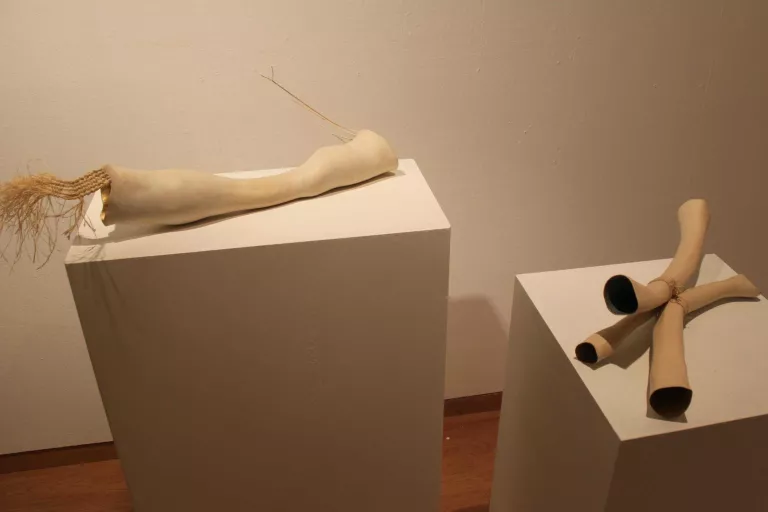 Tàrrega expressa les emocions a través de l’art amb 'Objectes' de l'artista Jose Davila