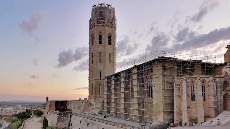 La represa de les obres a la Seu Vella pot posar en risc una colònia de falciots en època de cria