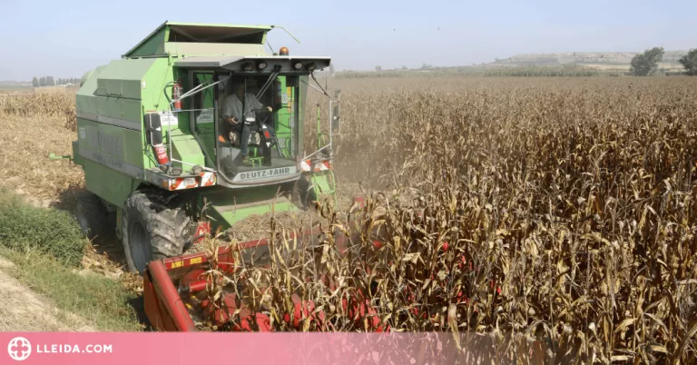 JARC i la FCAC reclamen al Govern que l'ajut per sequera en cereals es concedeixi segons la superfície total afectada