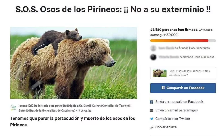 Més de 43.500 persones demanen transparència en les morts dels óssos del Pirineu