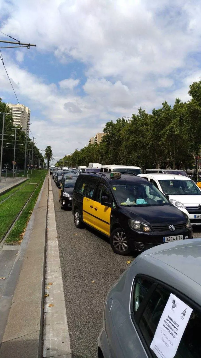 La marxa pagesa arriba a Barcelona amb 200 agricultors reclamant preus justos