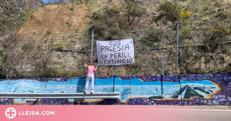 Els Ramaders del Pallars Sobirà critiquen la "inacció" del Govern davant dels seus reclams