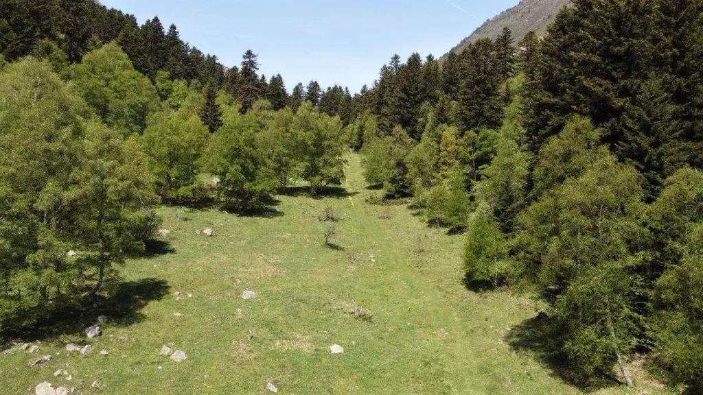 Identifiquen 13 rutes per practicar els "banys de bosc" al Pirineu i les Terres de Lleida