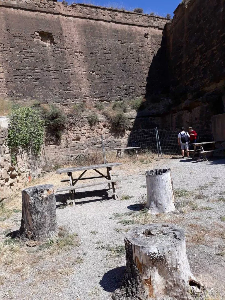 Detecten punts de la Seu Vella i el seu entorn degradats que necessiten "una actuació urgent"