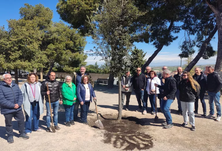 Tàrrega manté viva la tradició centenària de la Festa de l’Arbre