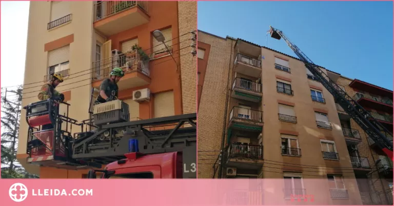 Rescat d'una cigonya en quedar-se atrapada al sostre d'un edifici a Lleida