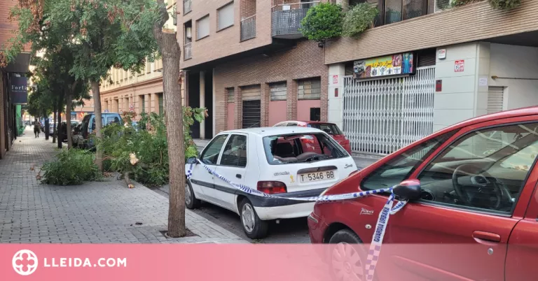 Les fortes ratxes de vent causen danys a un vehicle a Lleida