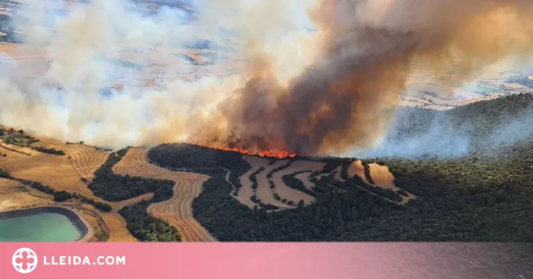 ⏯️ Els bombers remullen la zona de l'incendi a Artesa de Segre, que ha cremat 130 hectàrees