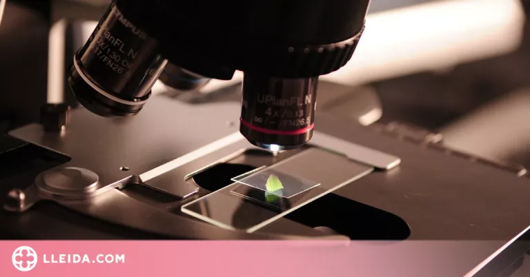 Catalunya rebrà 14,1 milions d'euros per a 33 projectes de R+D+I