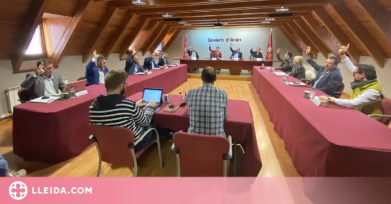 L'Aran modificarà la Llei de llengües oficials en l'ensenyament