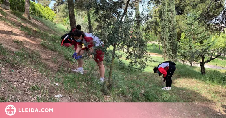 350 escolars participen en la jornada "Let's Clean Up" a Tàrrega