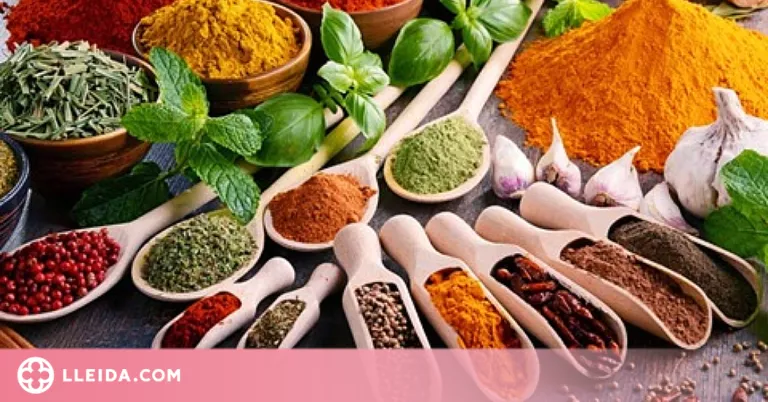 Alerten sobre l'adulteració d'algunes herbes aromàtiques