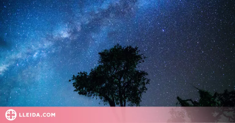 Destí, la Lluna: arrenca la missió lunar Artemis I