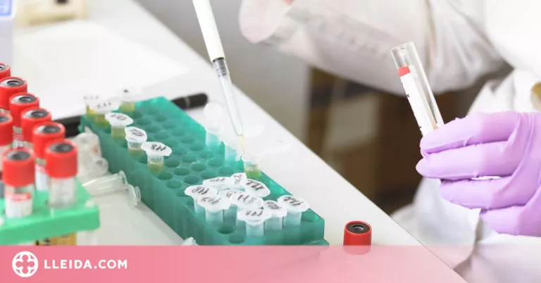 Un estudi identifica una estratègia per evitar la resistència a la teràpia contra el càncer